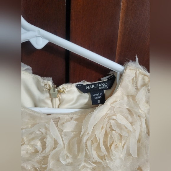 Flower Girl Dress, Roses Gold  ,  PartyDres size 8 - Picture 5 of 14